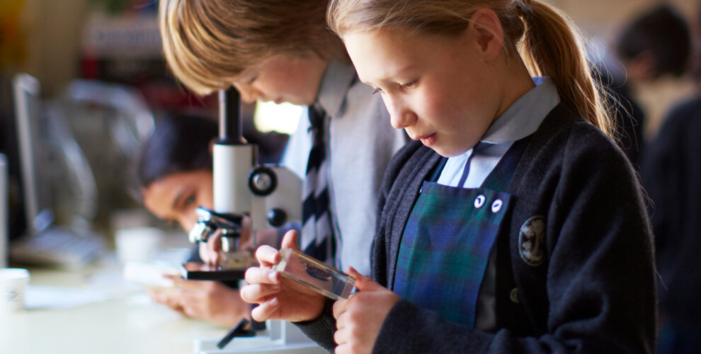 Classes 10 ed modern hero